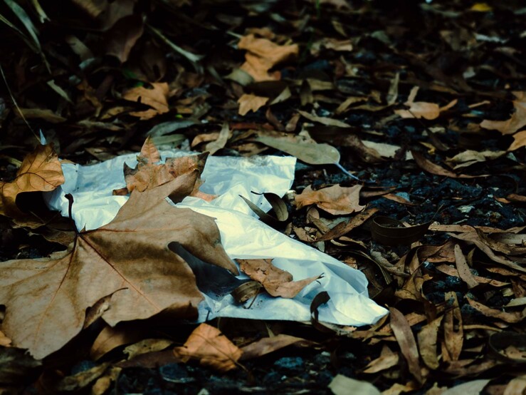 Plastic litter sitting among leaves on ground